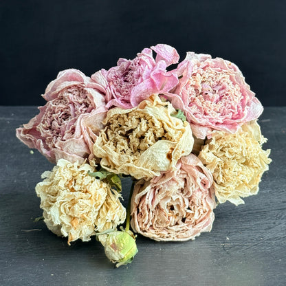 French Blend Dried Peony Bouquet