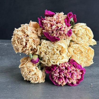French Blend Dried Peony Bouquet