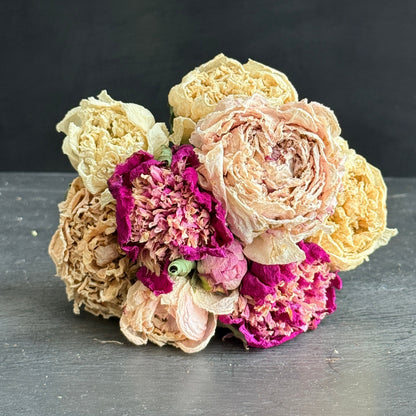 French Blend Dried Peony Bouquet