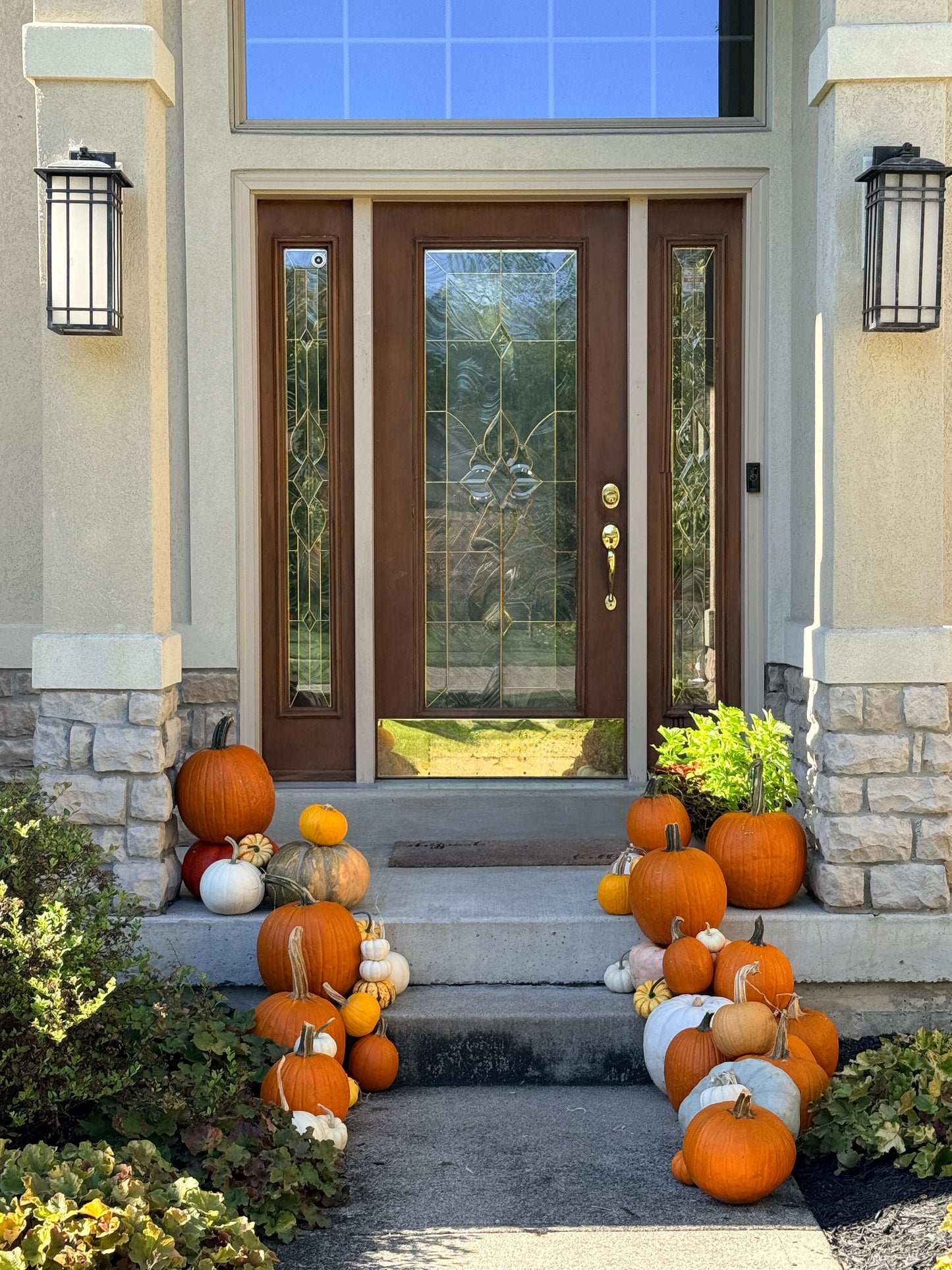 Fall Pumpkin Package 2