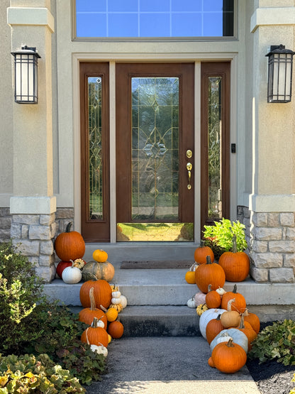 Fall Pumpkin Package 2