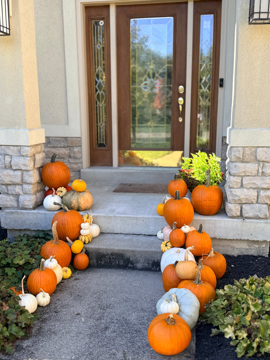 Fall Pumpkin Package 2