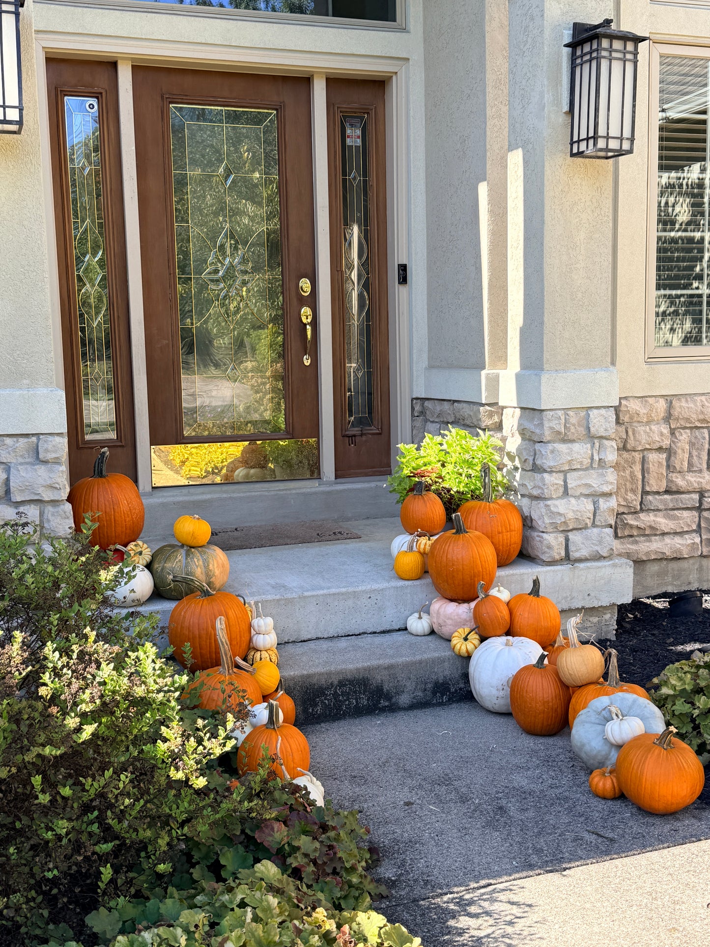 Fall Pumpkin Package 2