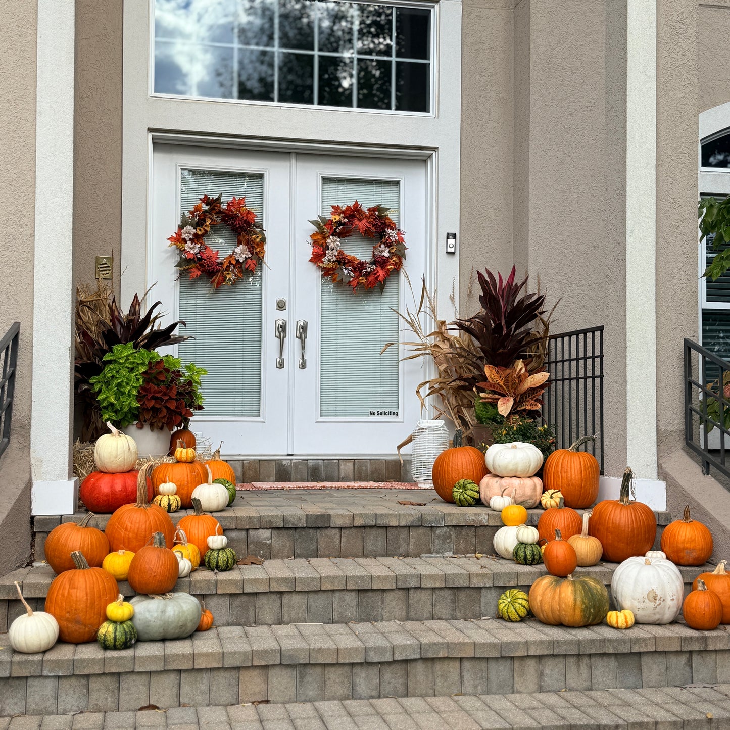 Fall Pumpkin Package 3