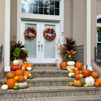 Fall Pumpkin Package 3