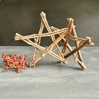 Twig Vine Star