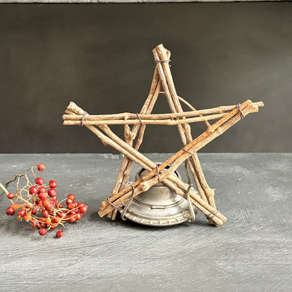 Twig Vine Star