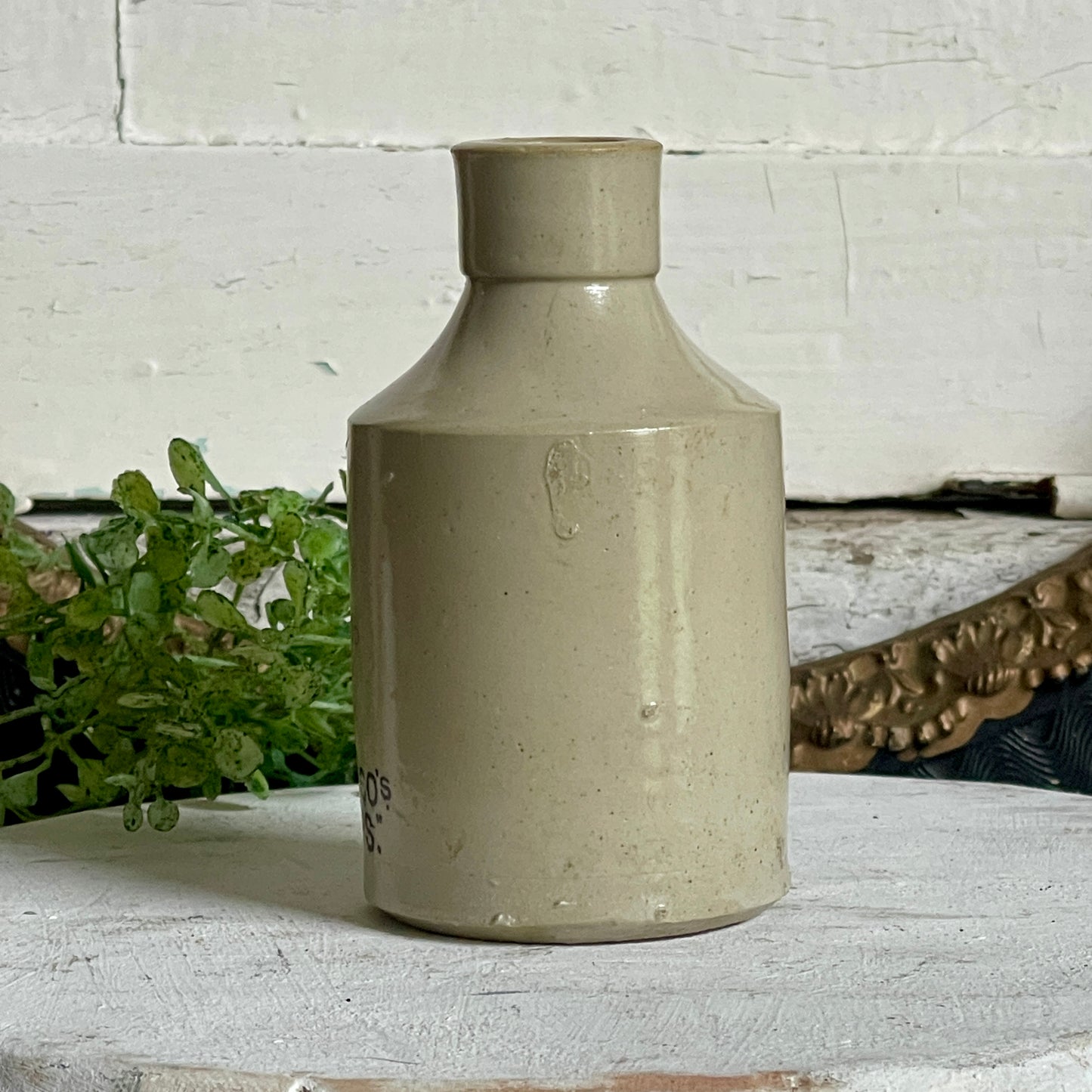 Stoneware Bottle - Frog Ballerina Graphic