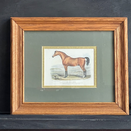 The Race Horse