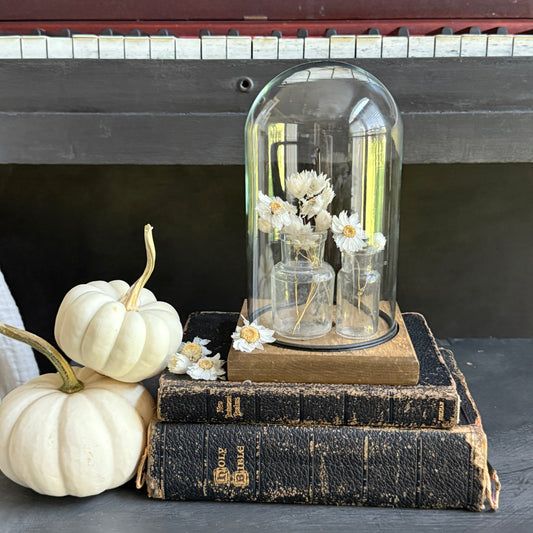 Glass Display Cloche with Bottles