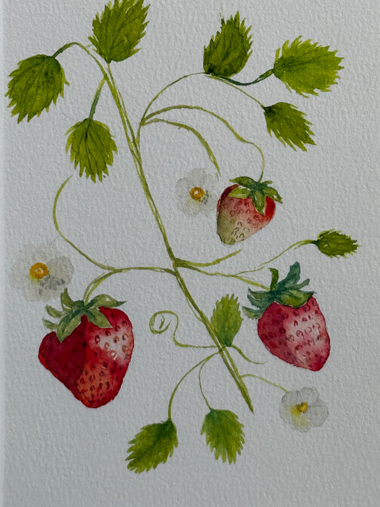 Illustration of strawberries on a vine with green leaves and small flowers on a textured white background.