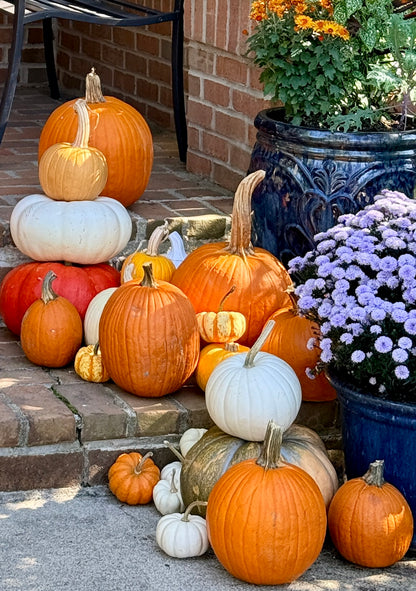 Fall Pumpkin Package 1