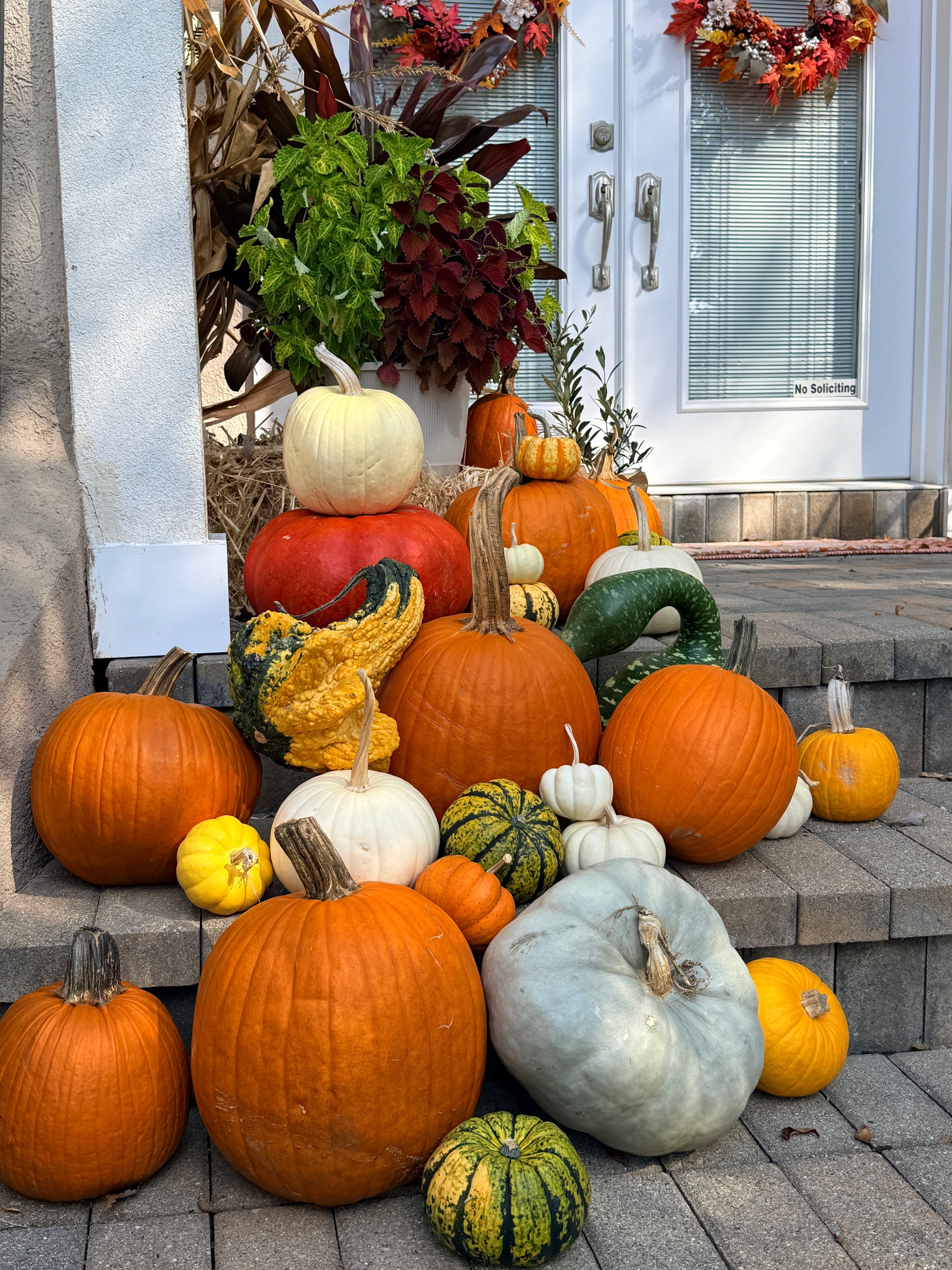 fall pumpkins on porch dayton ohio 
