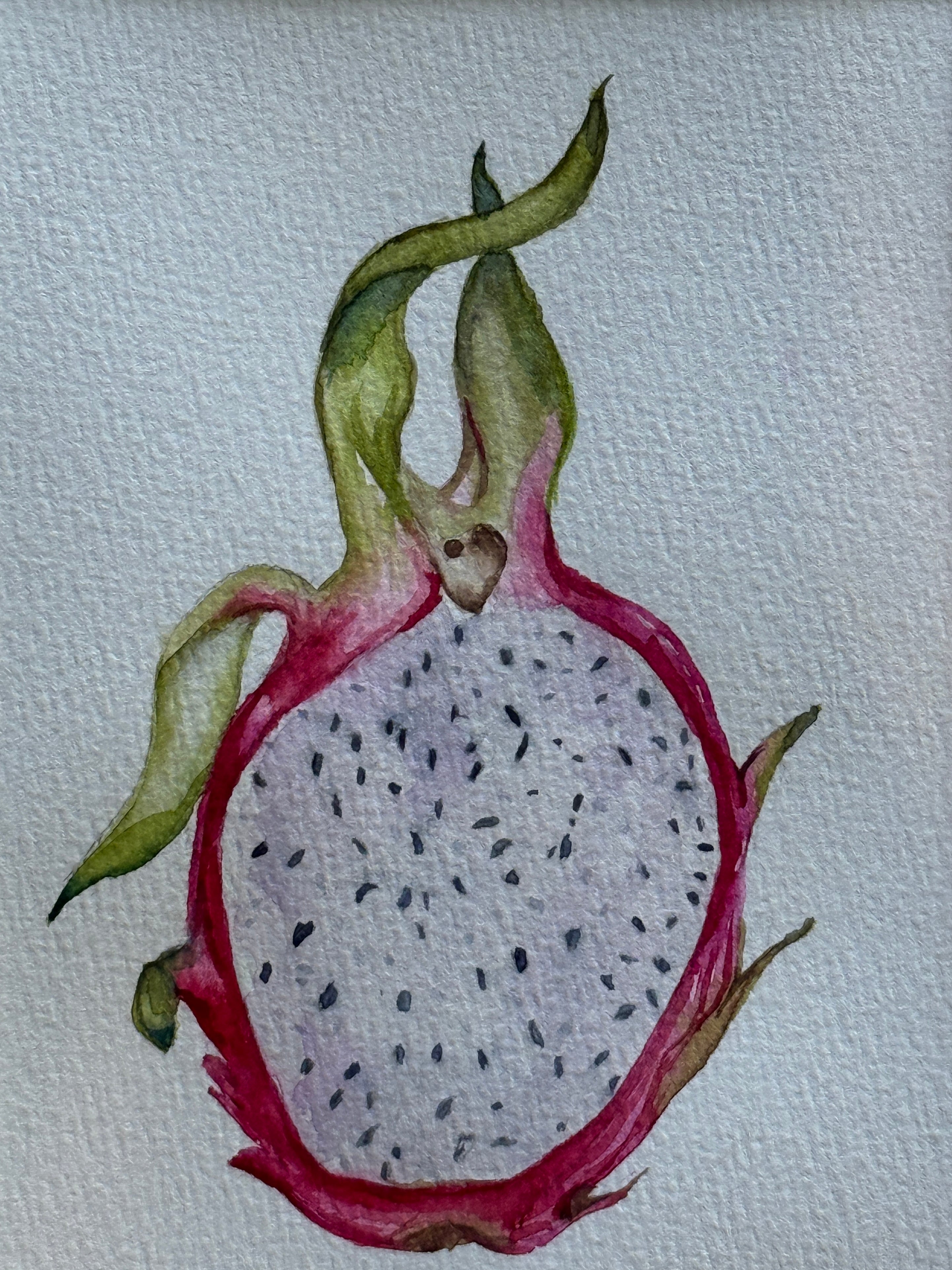 Artistic depiction of a dragon fruit on a textured white background