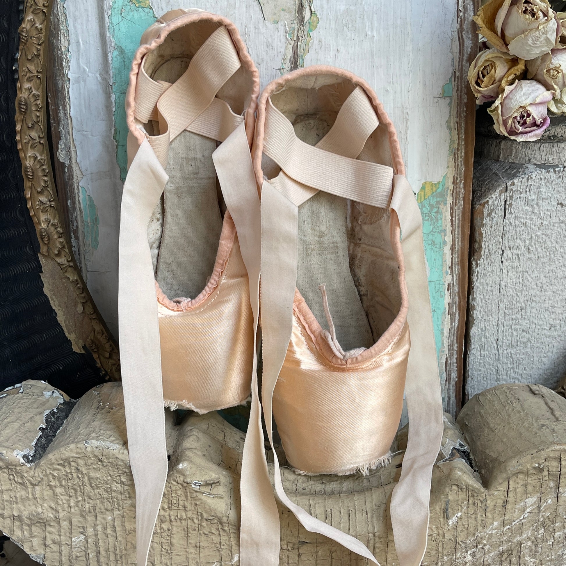 Ballet Pointe Shoes from England – Fairy Dust and Rust