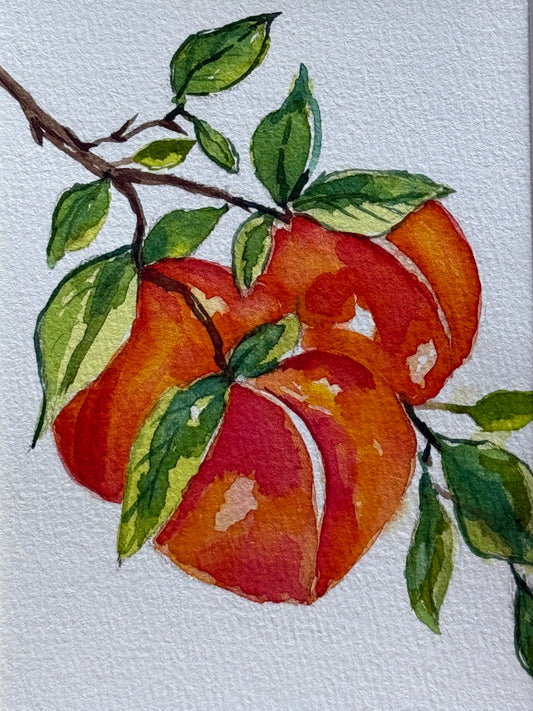 Painting of peaches on a branch with green leaves on a white background