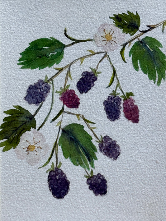 Painting of a branch black berries and green leaves on a textured white background