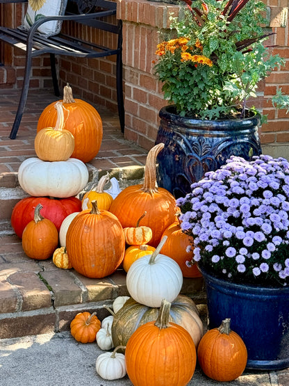 the porch fairy dayton ohio decorating services fall 