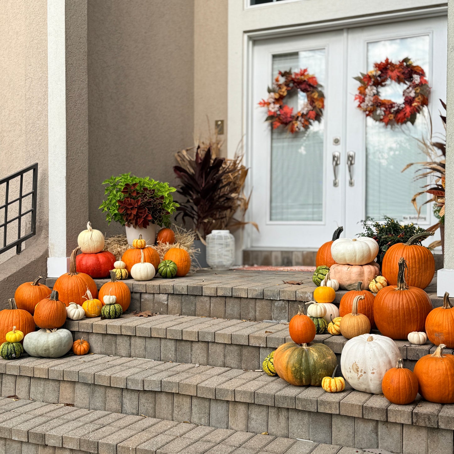 Fall Pumpkin Package 3