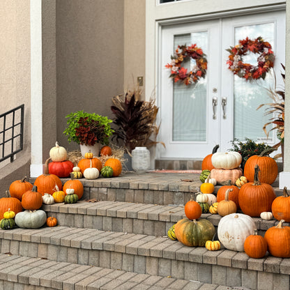 Fall Pumpkin Package 3