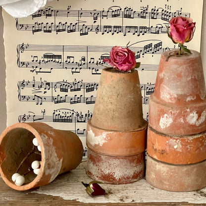 Naturally Aged Terra Cotta Pots