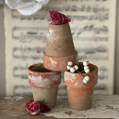 Naturally Aged Terra Cotta Pots