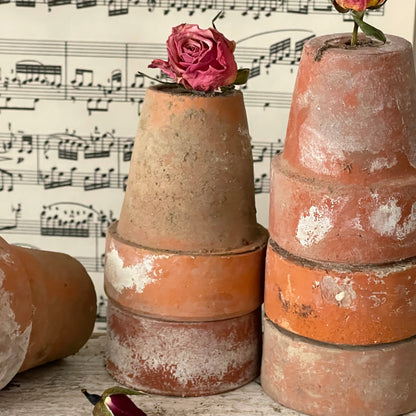 Naturally Aged Terra Cotta Pots